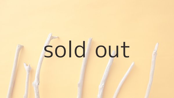 画像4: 小枝流木セット (4)