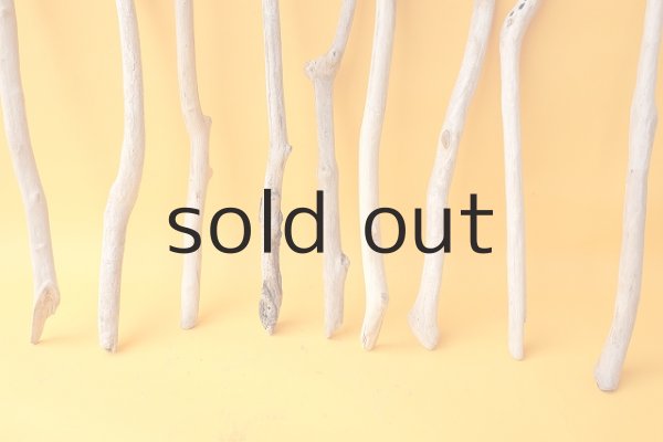 画像2: 小枝流木セット (2)