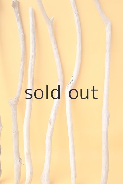 画像5: 小枝流木セット (5)