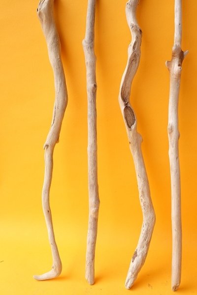 画像4: 小枝流木セット (4)