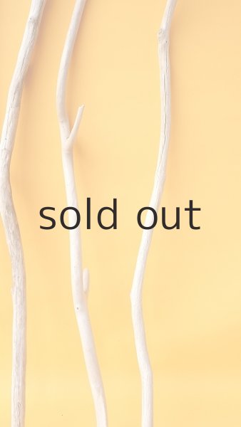 画像7: 小枝流木セット (7)