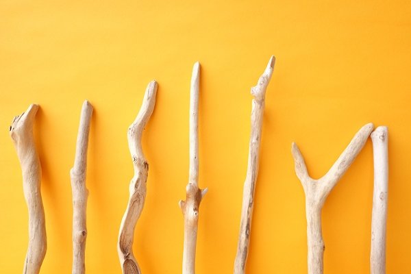 画像3: 小枝流木セット (3)