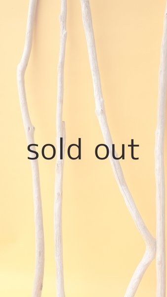 画像5: 小枝流木セット (5)