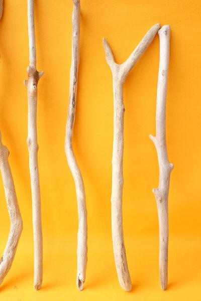 画像5: 小枝流木セット (5)