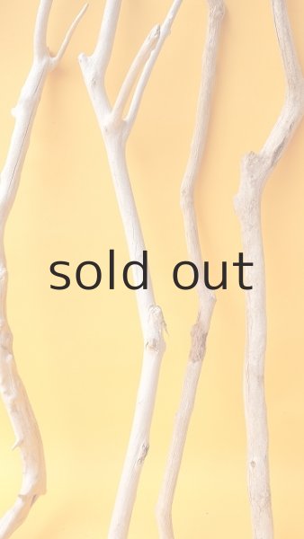 画像6: 小枝流木セット (6)