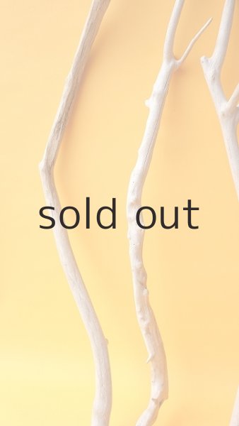 画像5: 小枝流木セット (5)