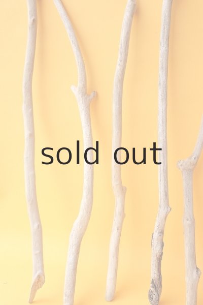 画像4: 小枝流木セット (4)