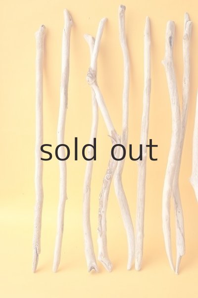 画像2: 小枝流木セット (2)