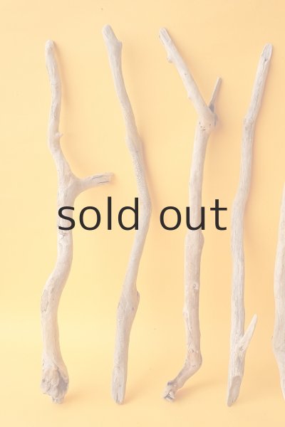 画像2: 小枝流木セット (2)