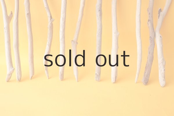 画像5: 小枝流木セット (5)