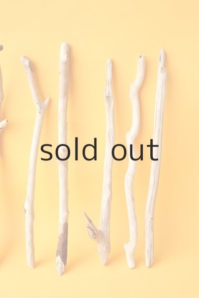 画像4: 小枝流木セット (4)