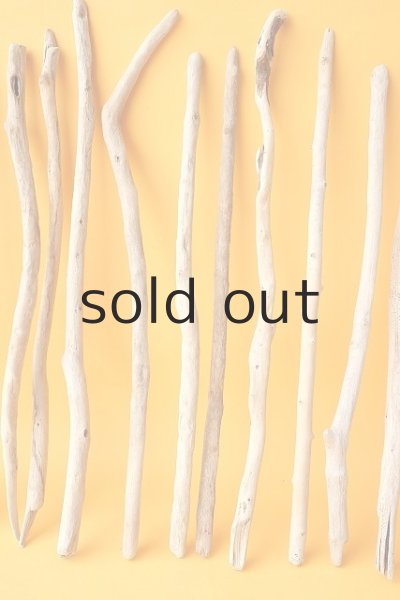 画像4: 小枝流木セット (4)