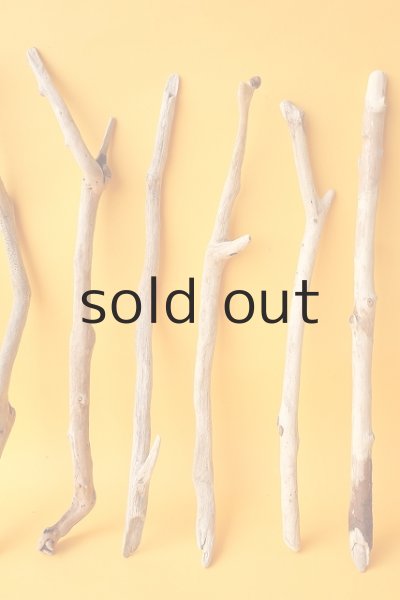 画像3: 小枝流木セット (3)