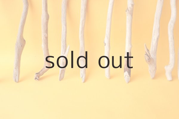 画像5: 小枝流木セット (5)