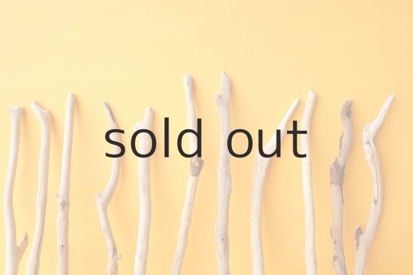 画像6: 小枝流木セット (6)