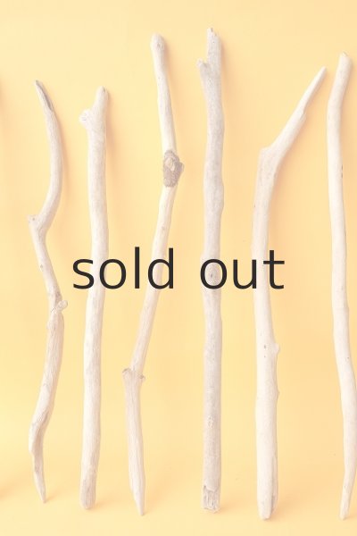 画像3: 小枝流木セット (3)