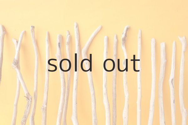 画像7: 小枝流木セット (7)