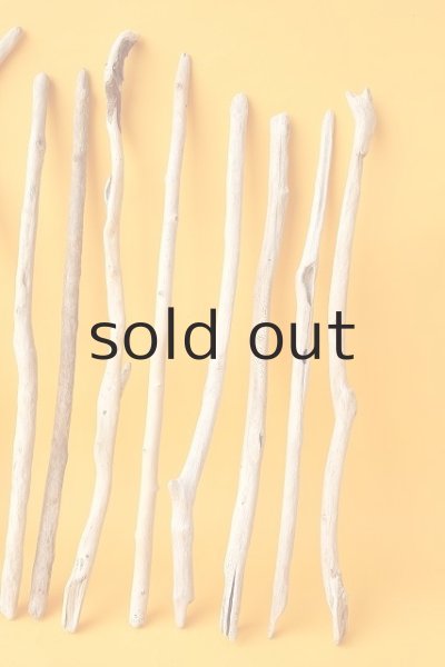 画像5: 小枝流木セット (5)