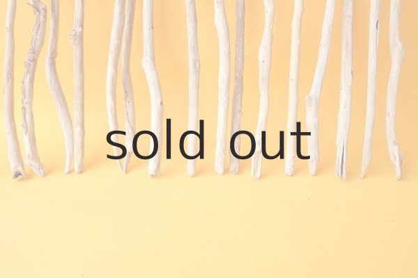 画像6: 小枝流木セット (6)