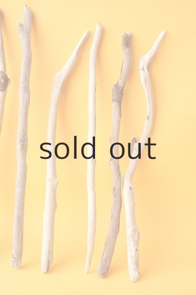 画像4: 小枝流木セット (4)