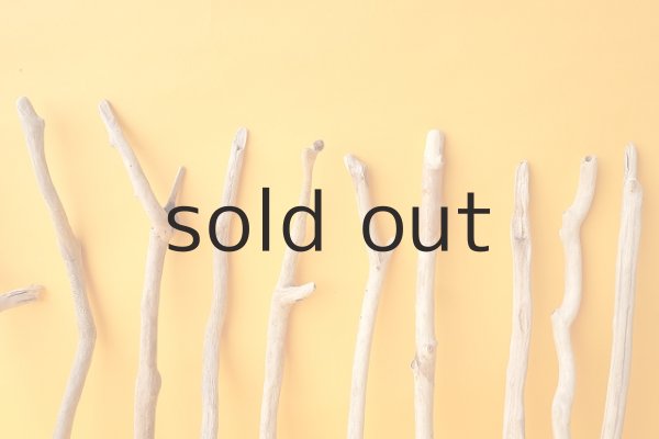 画像6: 小枝流木セット (6)