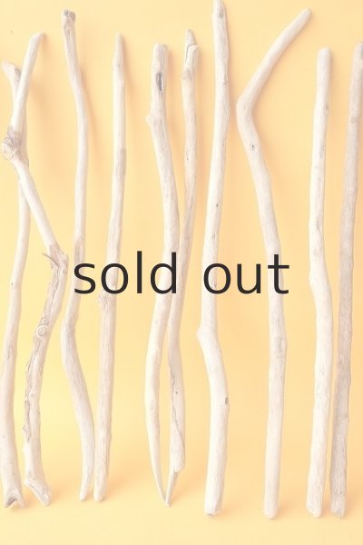 画像3: 小枝流木セット (3)