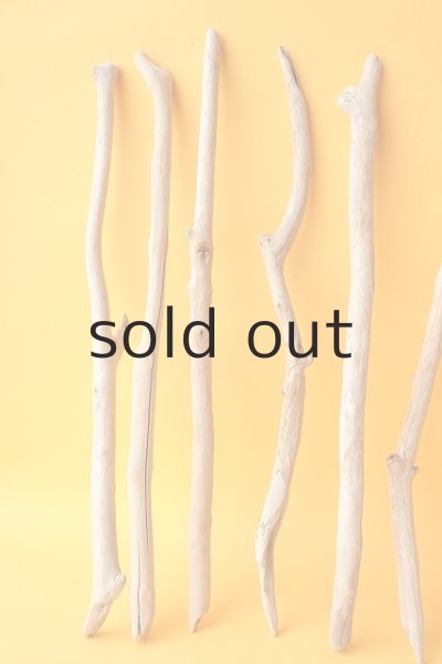 画像2: 小枝流木セット (2)