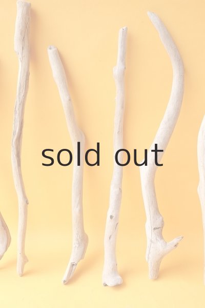 画像5: 小枝流木セット (5)