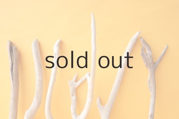 画像3: 小枝流木セット (3)