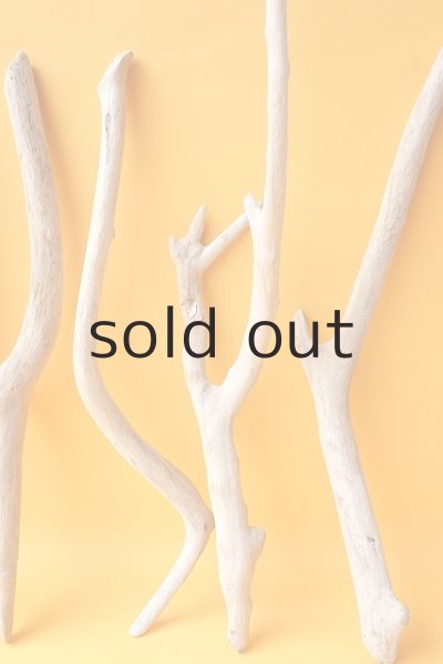 画像5: 小枝流木セット (5)