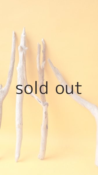 画像3: 小枝流木セット (3)