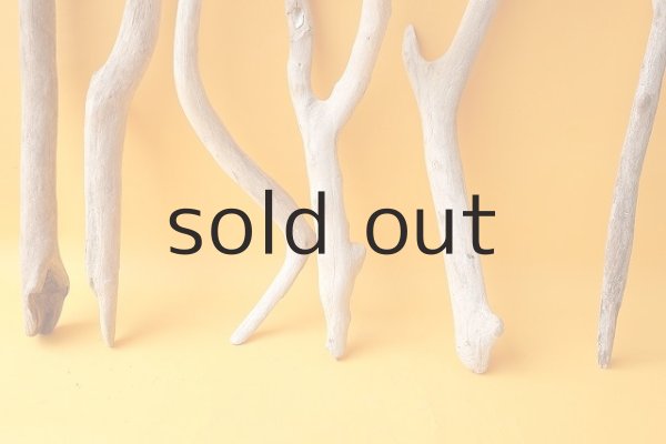 画像2: 小枝流木セット (2)