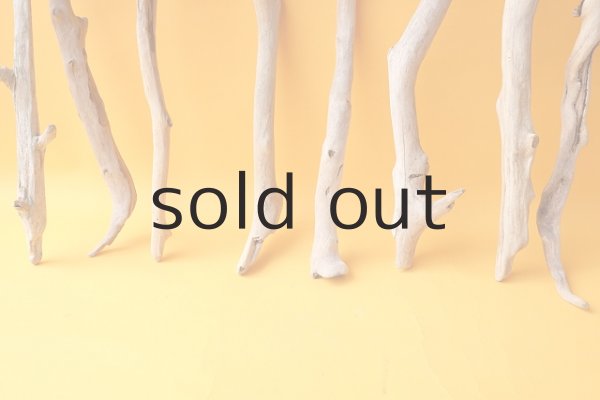 画像2: 小枝流木セット (2)