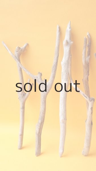 画像2: 小枝流木セット (2)