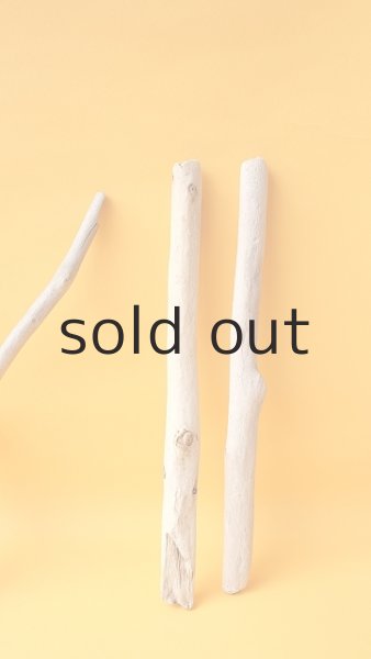 画像5: 小枝流木セット (5)