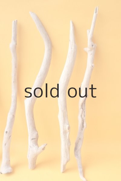 画像6: 小枝流木セット (6)