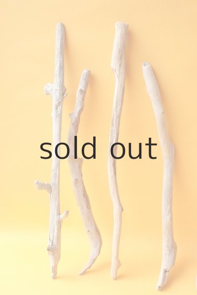 画像4: 小枝流木セット (4)