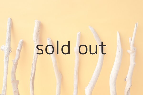 画像3: 小枝流木セット (3)