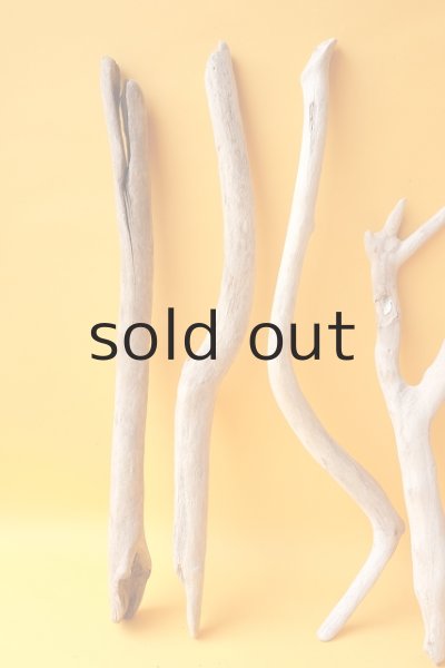 画像4: 小枝流木セット (4)