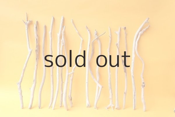 画像1: 小枝流木セット (1)