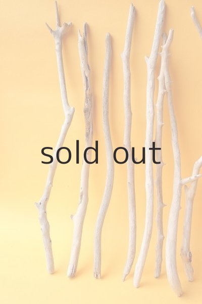 画像2: 小枝流木セット (2)