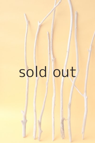 画像2: 小枝流木セット (2)