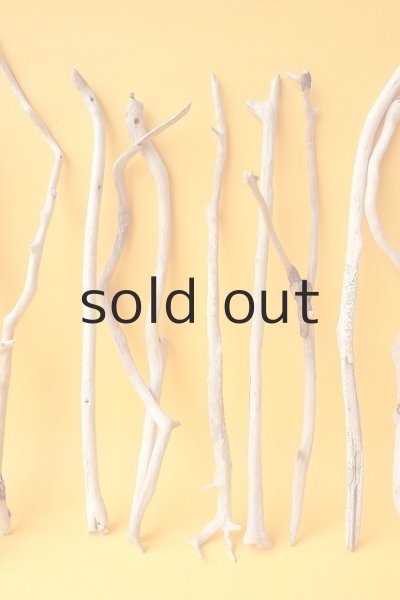 画像4: 小枝流木セット (4)