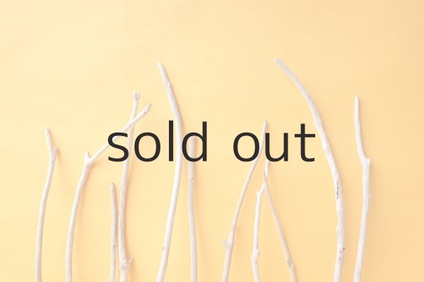 画像6: 小枝流木セット (6)