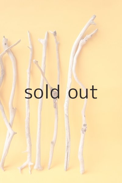 画像5: 小枝流木セット (5)