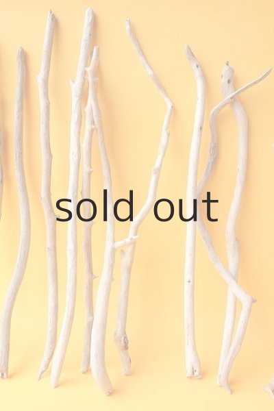 画像3: 小枝流木セット (3)