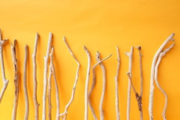 画像7: 小枝流木セット (7)