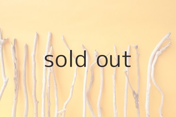 画像7: 小枝流木セット (7)