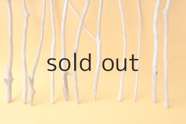 画像4: 小枝流木セット (4)