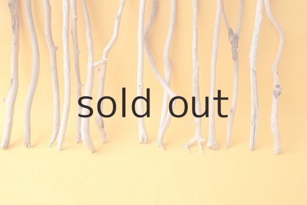 画像6: 小枝流木セット (6)